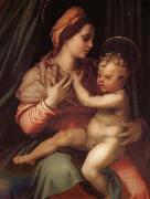 Andrea del Sarto, The Virgin and Child